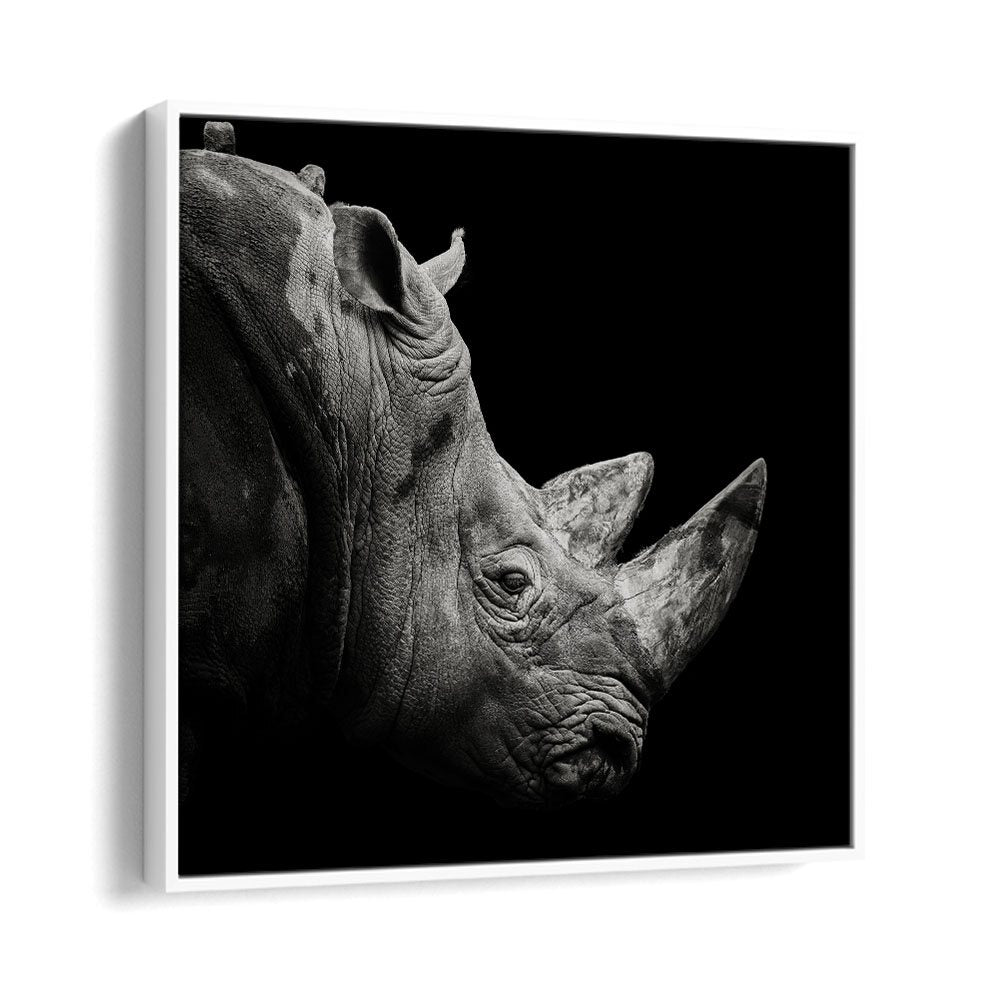 chre painting - RHINO by Asianmonk