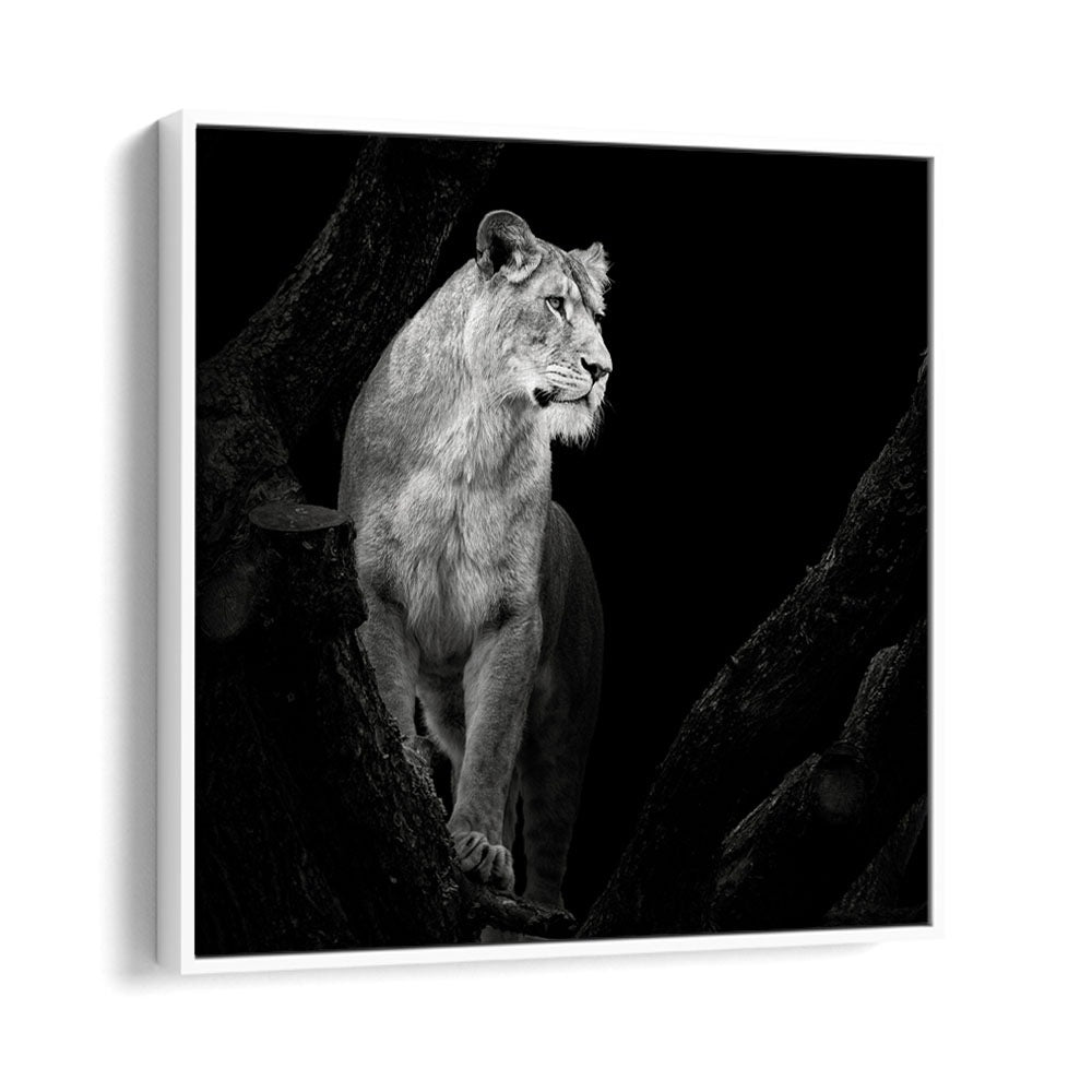 chre painting - LIONESS I by Asianmonk