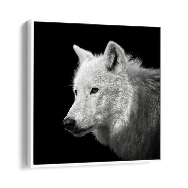 chre painting - WHITE WOLF by Asianmonk