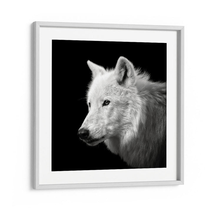 chre painting - WHITE WOLF by Asianmonk