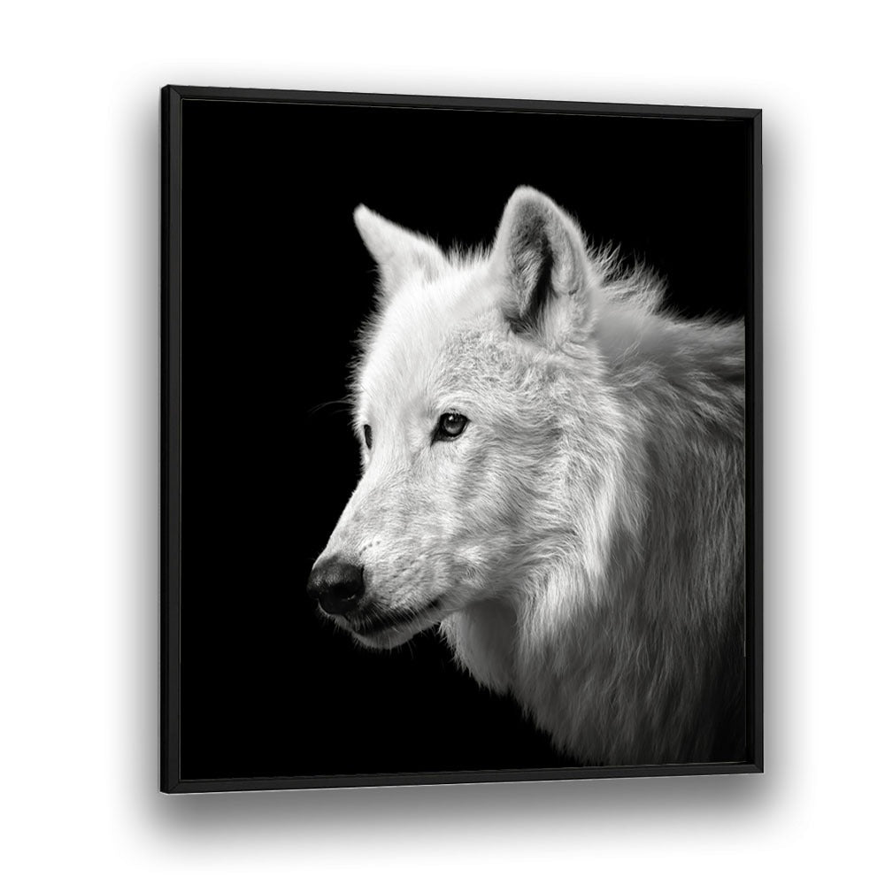 chre painting - WHITE WOLF by Asianmonk