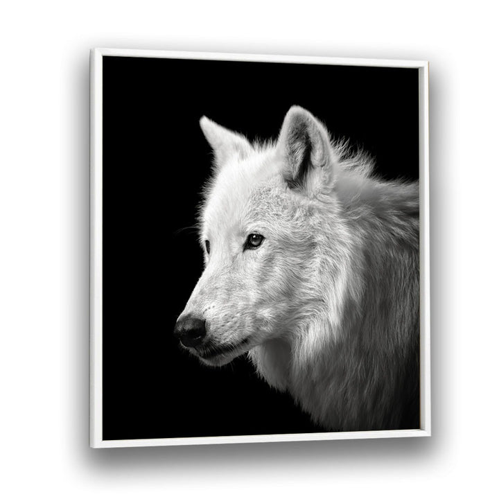 chre painting - WHITE WOLF by Asianmonk