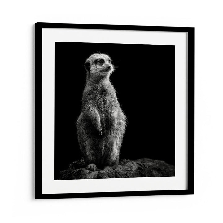 chre painting - MEERKAT by Asianmonk