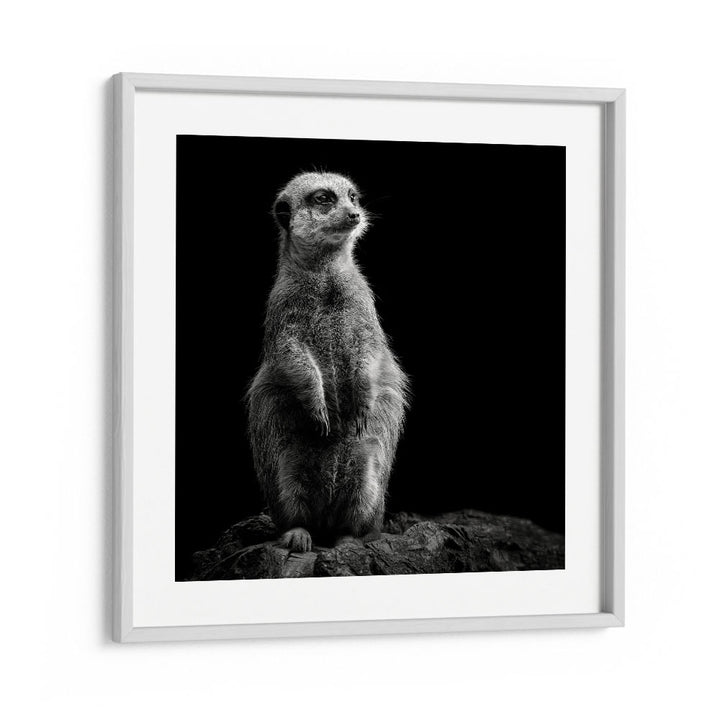 chre painting - MEERKAT by Asianmonk