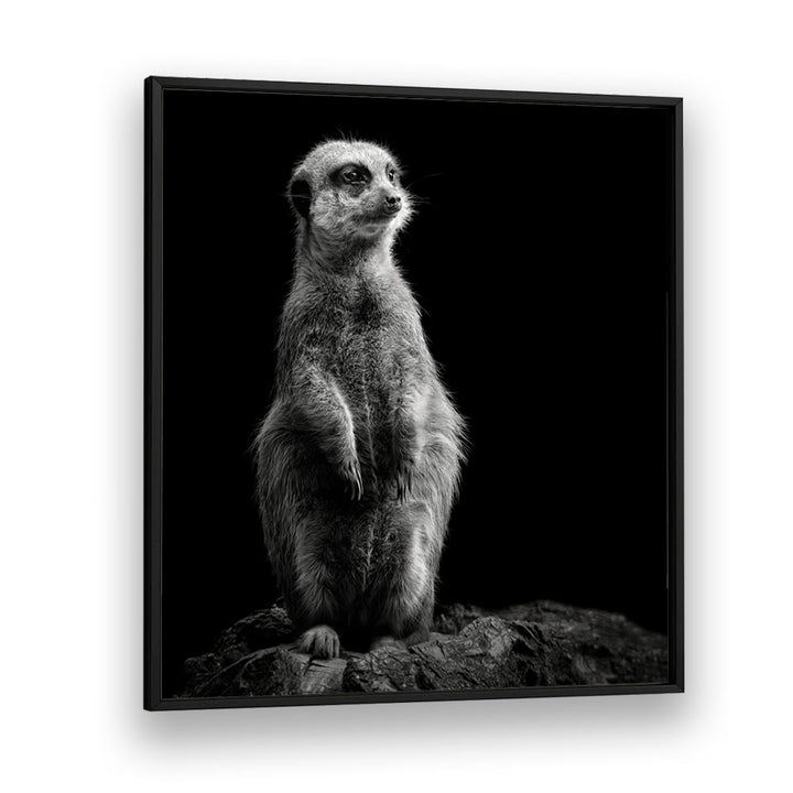 chre painting - MEERKAT by Asianmonk