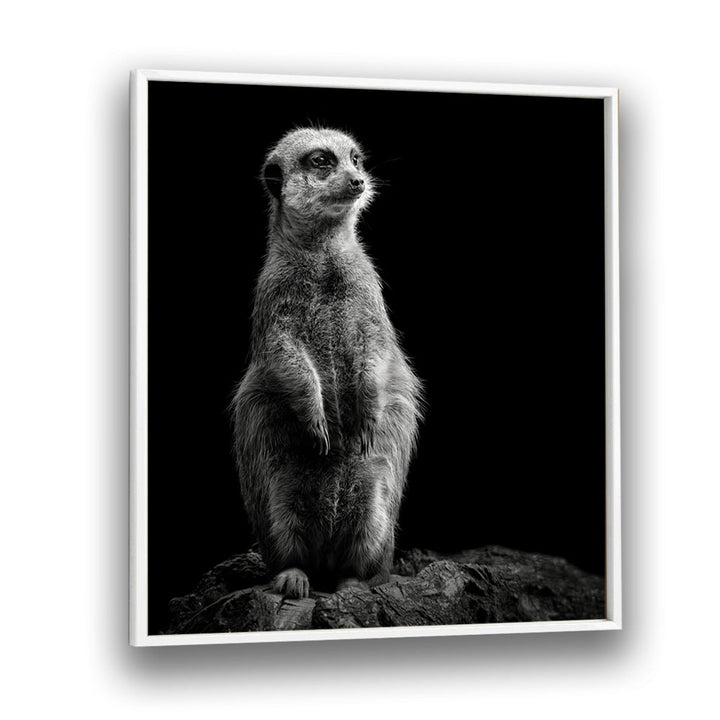 chre painting - MEERKAT by Asianmonk