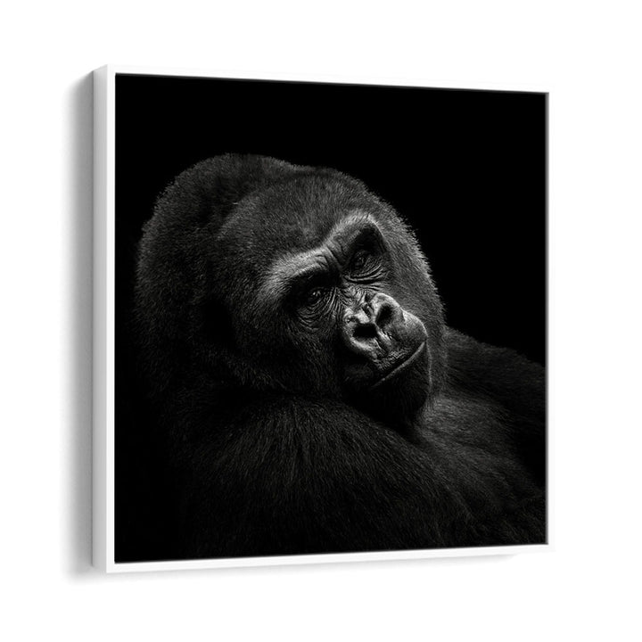 chre painting - GORILLA II by Asianmonk