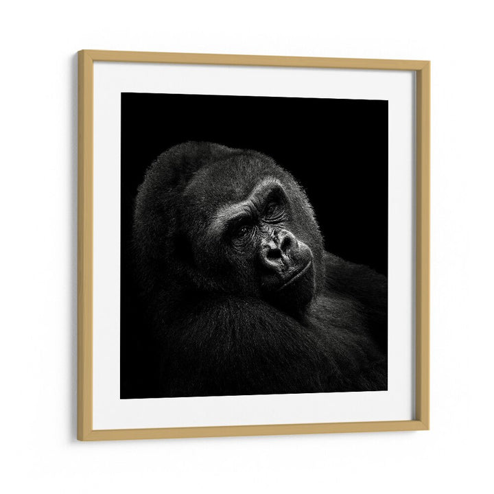 chre painting - GORILLA II by Asianmonk