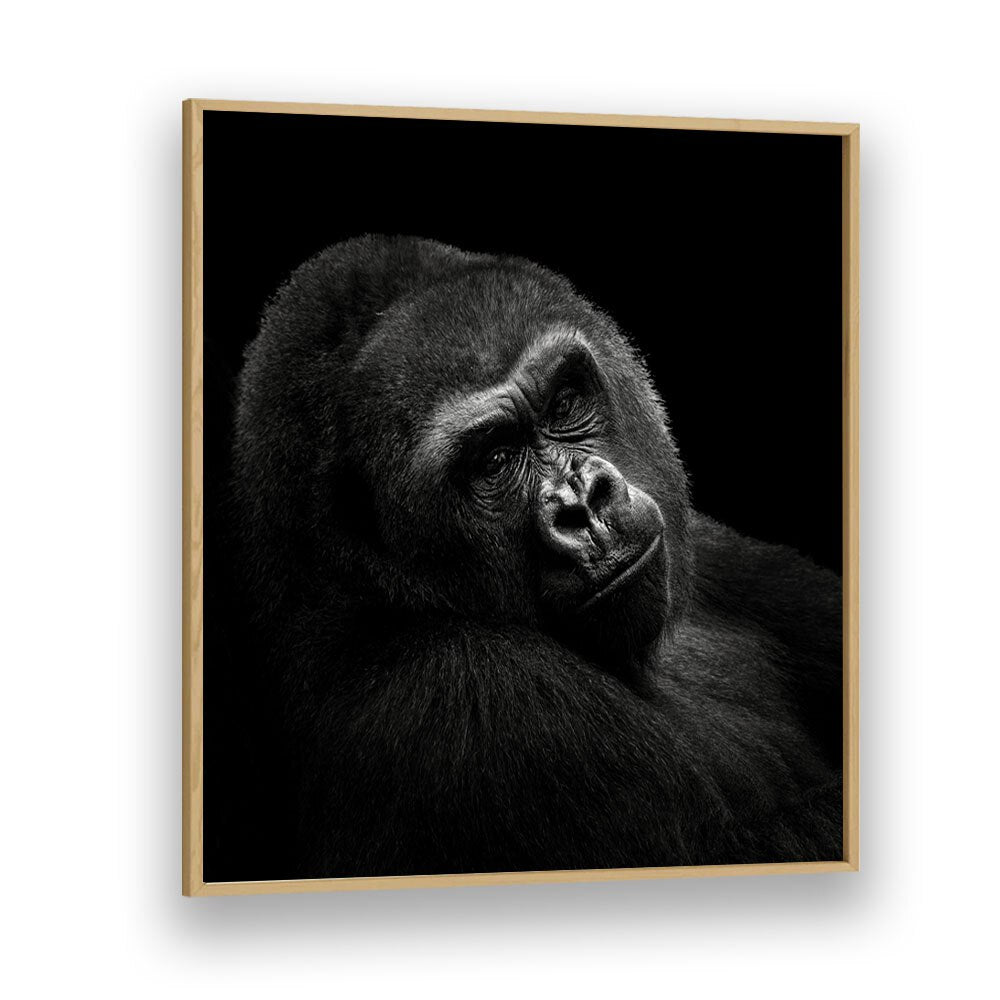 chre painting - GORILLA II by Asianmonk