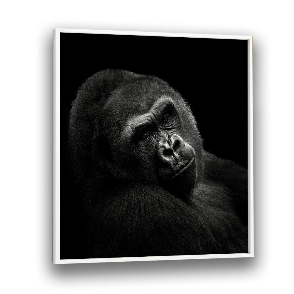 chre painting - GORILLA II by Asianmonk