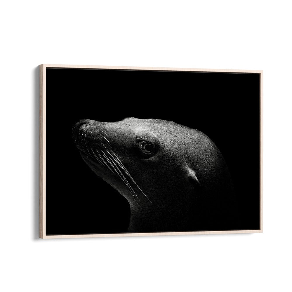 African painting - SEA LION by Asianmonk