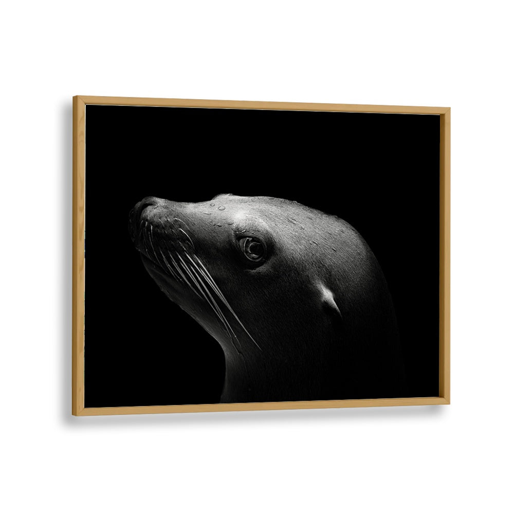 SEA LION