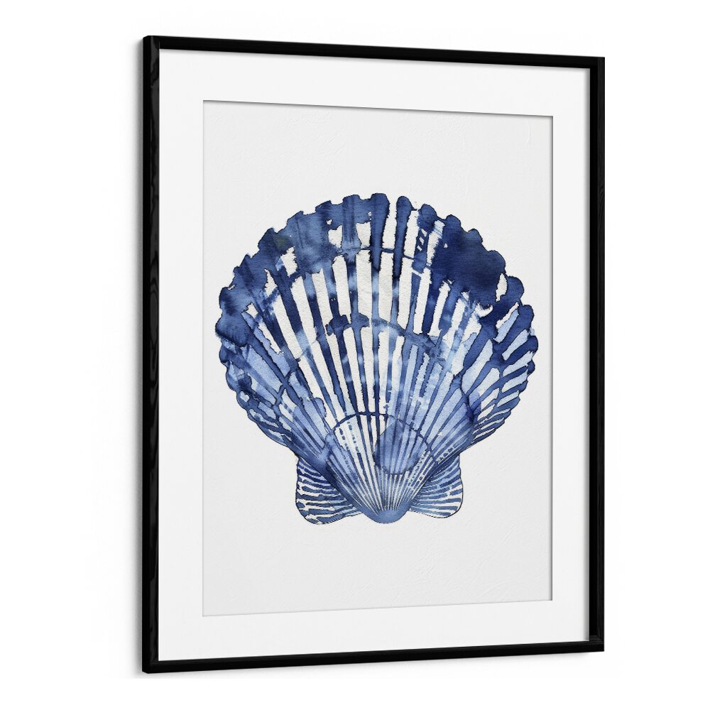 Cerulean Conch I Beach Prints Coastal Wall Art in Black Frame With Mount