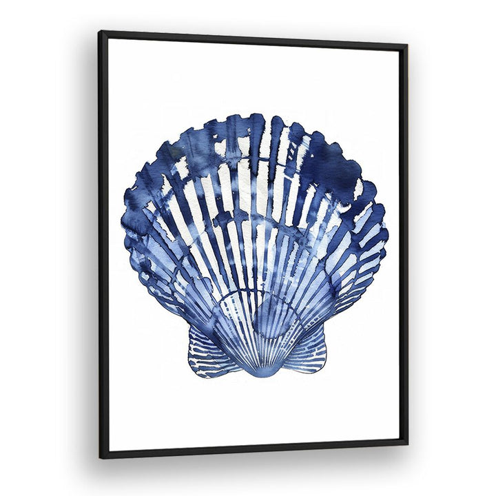 Cerulean Conch I Beach Prints Coastal Wall Art in Black Plain Frame