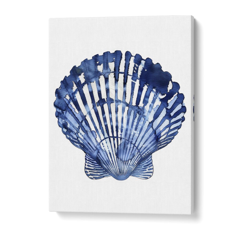 Cerulean Conch I Beach Prints Coastal Wall Art in Gallery Wrap