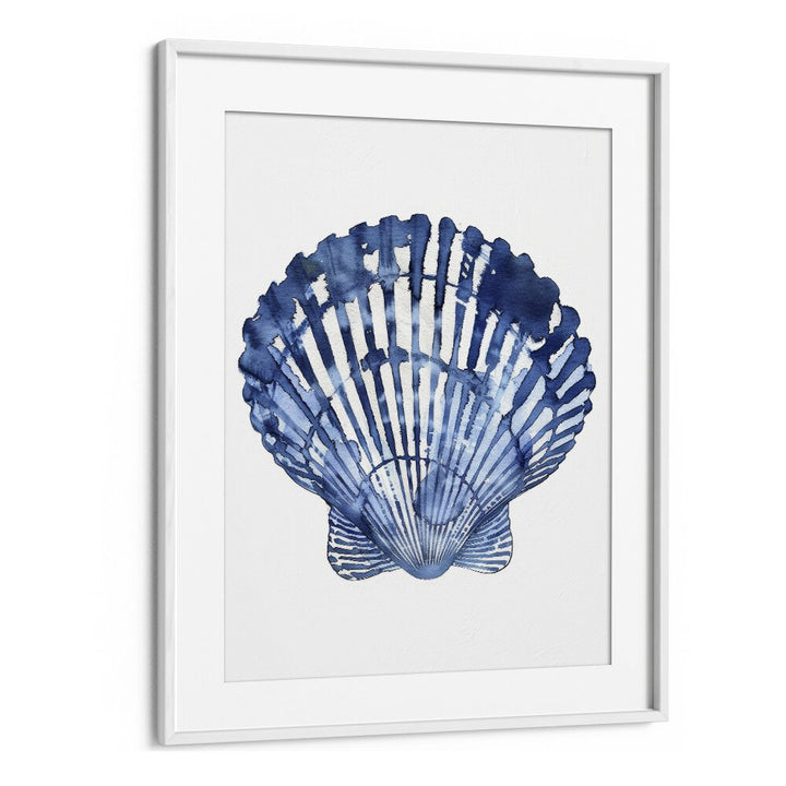 Cerulean Conch I Beach Prints Coastal Wall Art in White Frame With Mount