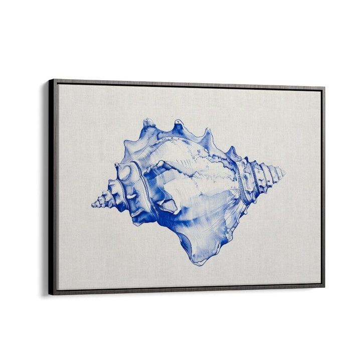 Cerulean Conch Iv Beach Prints Coastal Wall Art in Black Floater Frame