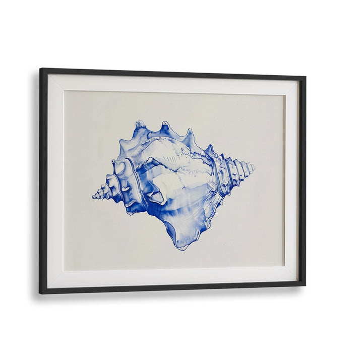 Cerulean Conch Iv Beach Prints Coastal Wall Art in Black Frame With Mount