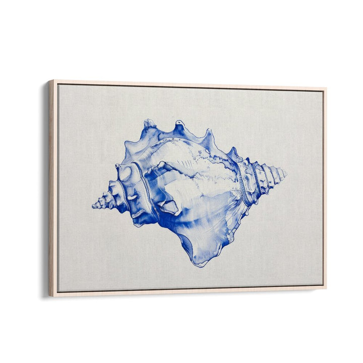 Cerulean Conch Iv Beach Prints Coastal Wall Art in Oak Wood Floater Frame