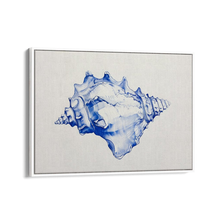 Cerulean Conch Iv Beach Prints Coastal Wall Art in White Floater Frame