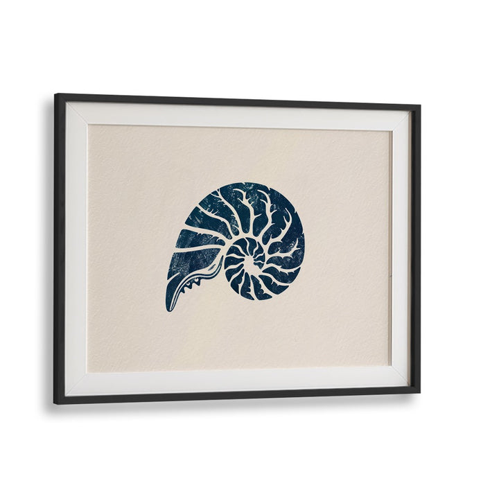 Cerulean Conch V Beach Prints Coastal Wall Art in Black Frame With Mount