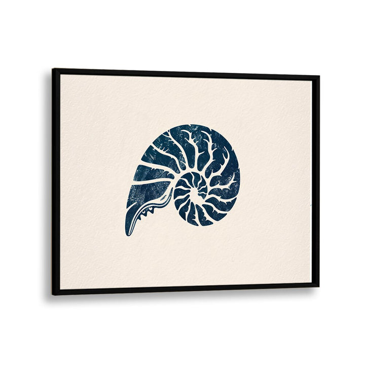 Cerulean Conch V Beach Prints Coastal Wall Art in Black Plain Frame