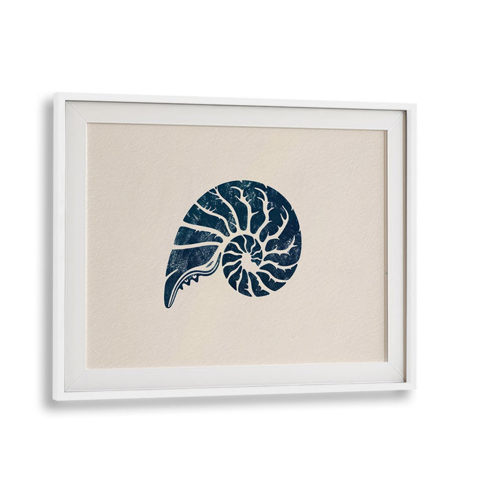 Cerulean Conch V Beach Prints Coastal Wall Art in White Frame With Mount