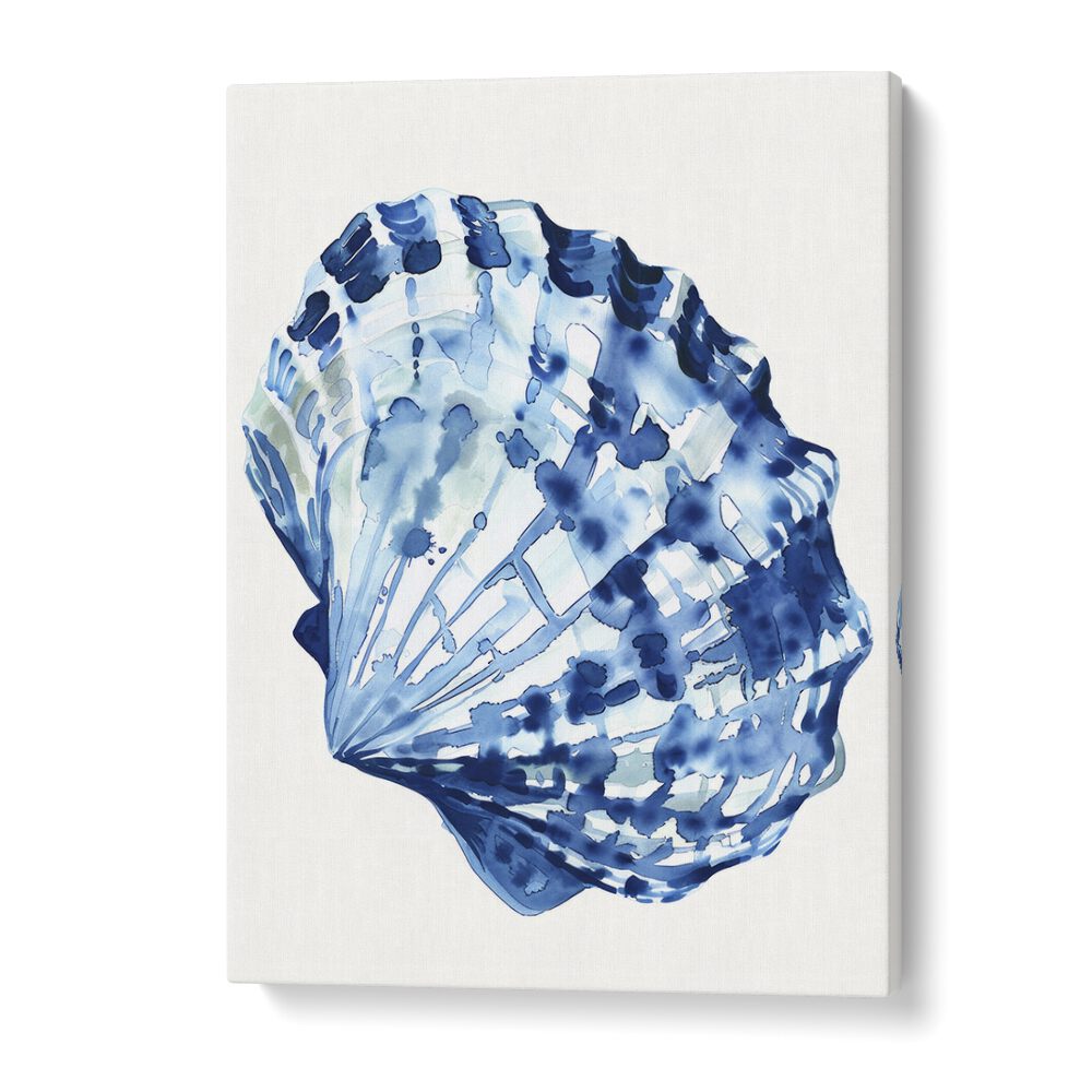 Cerulean Conch ii Beach Prints Coastal Wall Art in Gallery Wrap