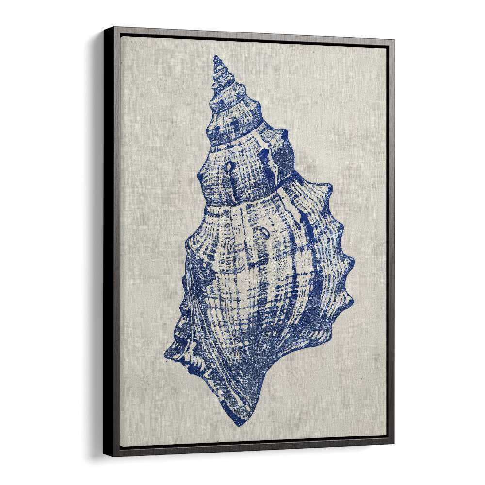 Cerulean Conch iii Beach Prints Coastal Wall Art in Black Floater Frame