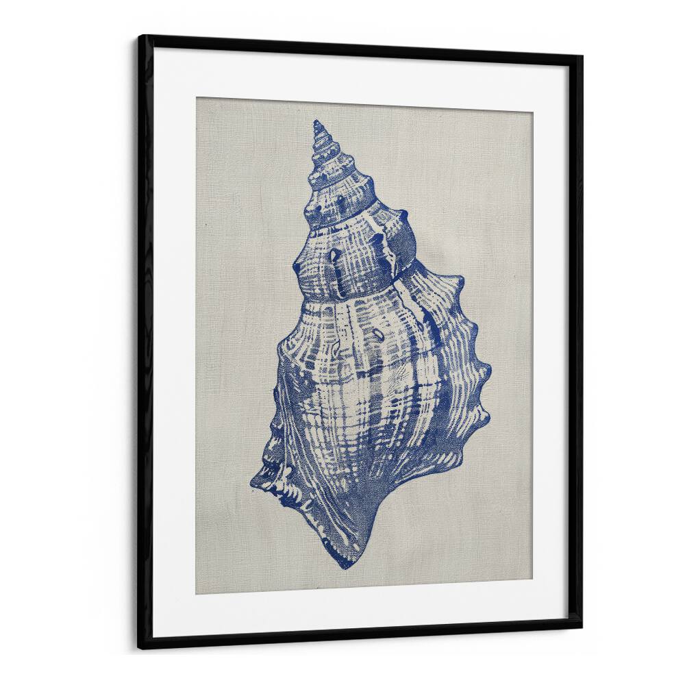 Cerulean Conch iii Beach Prints Coastal Wall Art in Black Frame With Mount