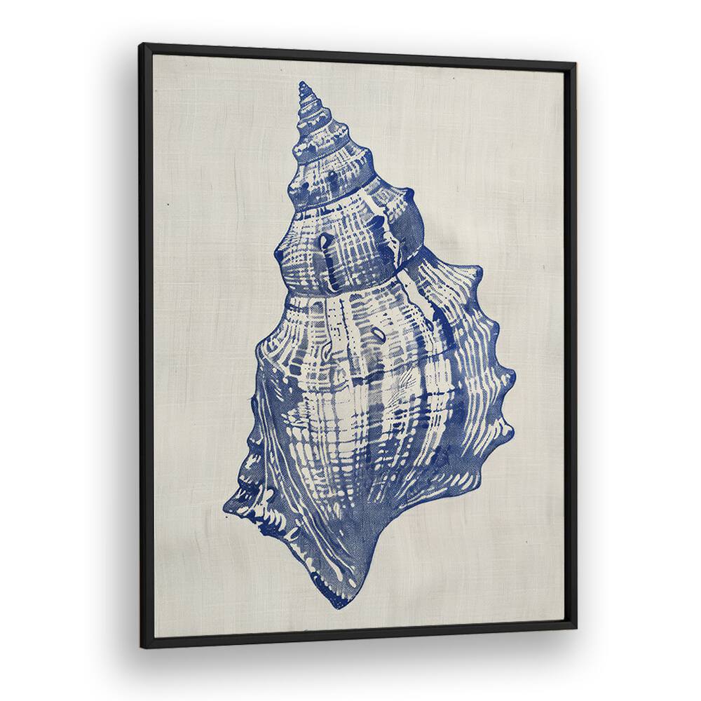 Cerulean Conch iii Beach Prints Coastal Wall Art in Black Plain Frame