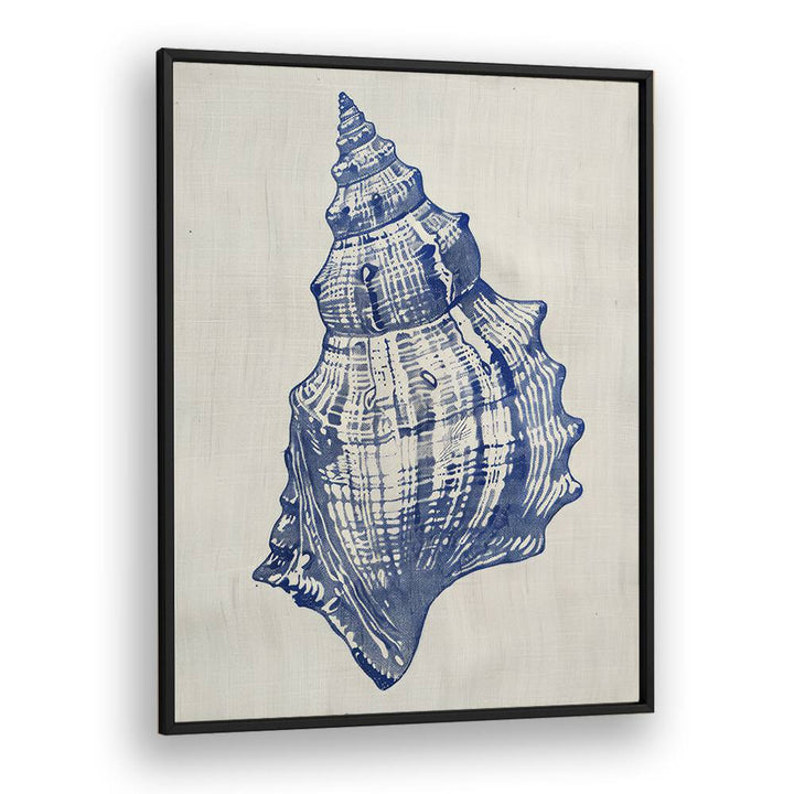 Cerulean Conch iii Beach Prints Coastal Wall Art in Black Plain Frame