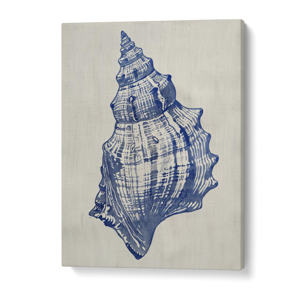 Cerulean Conch iii Beach Prints Coastal Wall Art in Gallery Wrap