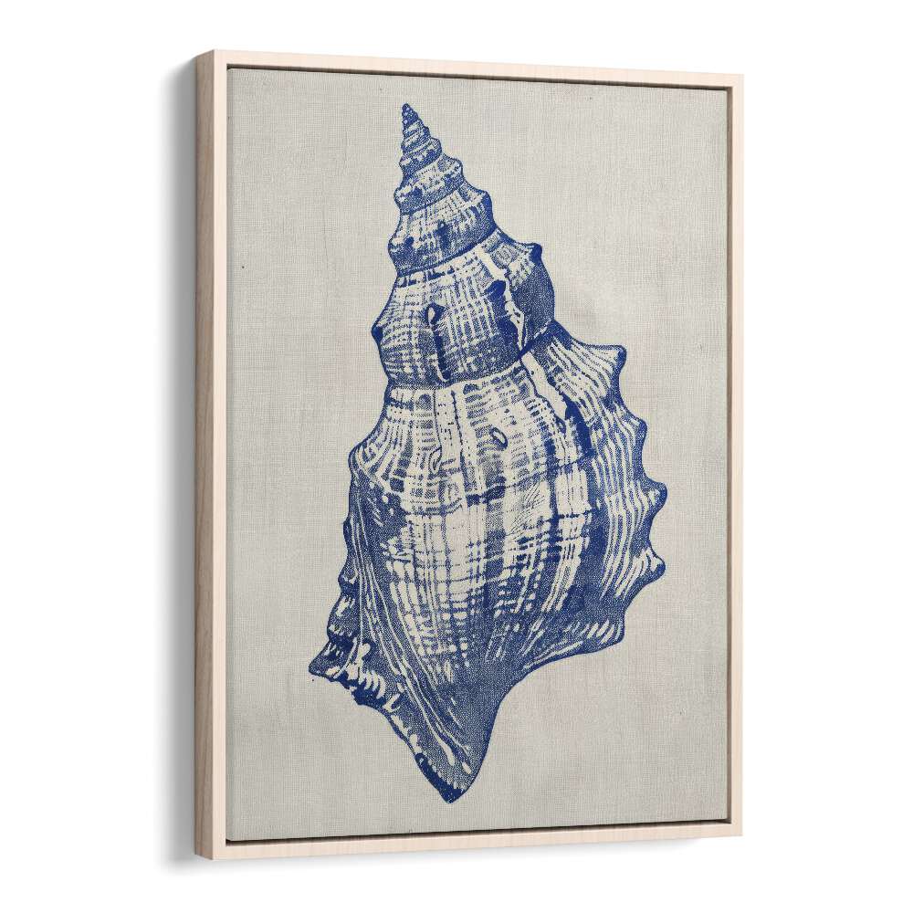 Cerulean Conch iii Beach Prints Coastal Wall Art in Oak Wood Floater Frame