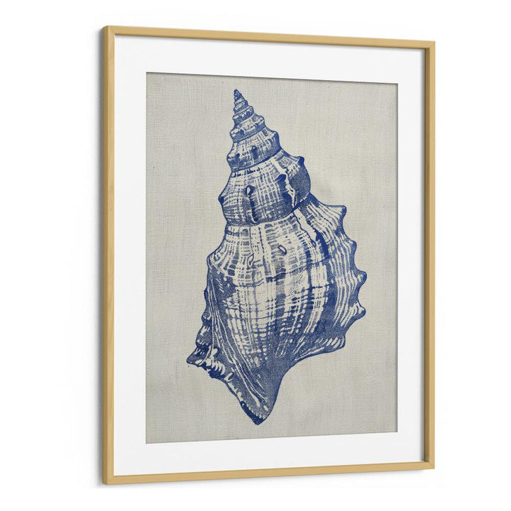 Cerulean Conch iii Beach Prints Coastal Wall Art in Oak Wood Frame With Mount