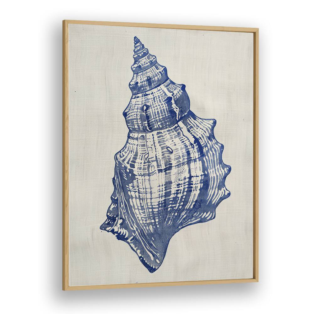 Cerulean Conch iii Beach Prints Coastal Wall Art in Oak Wood Plain Frame