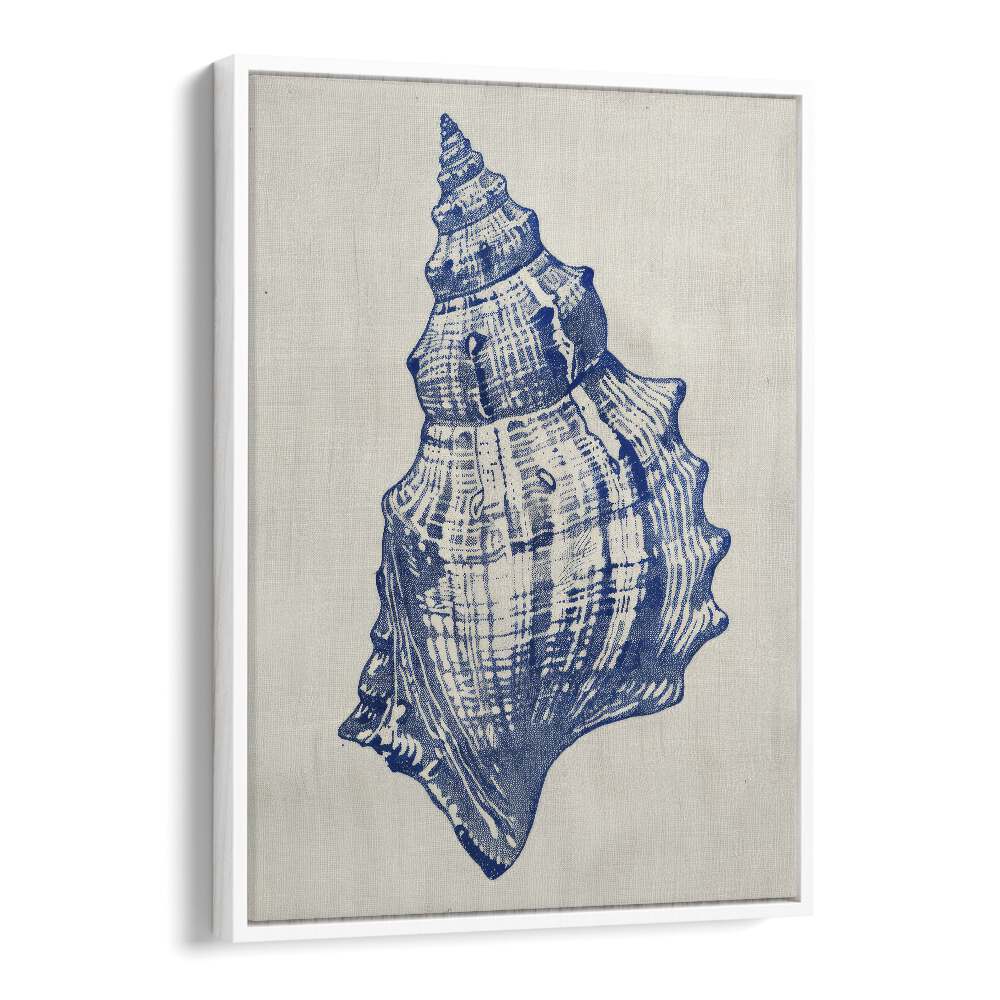 Cerulean Conch iii Beach Prints Coastal Wall Art in White Floater Frame