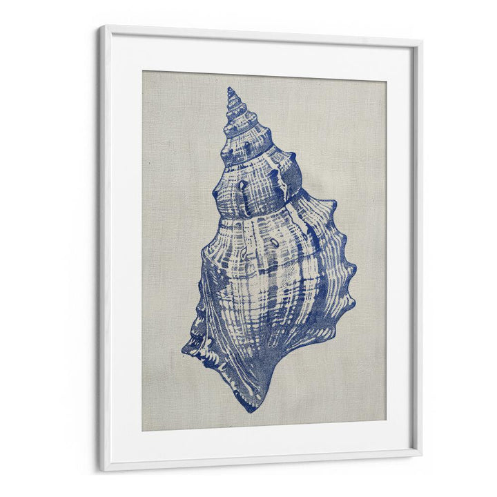 Cerulean Conch iii Beach Prints Coastal Wall Art in White Frame With Mount