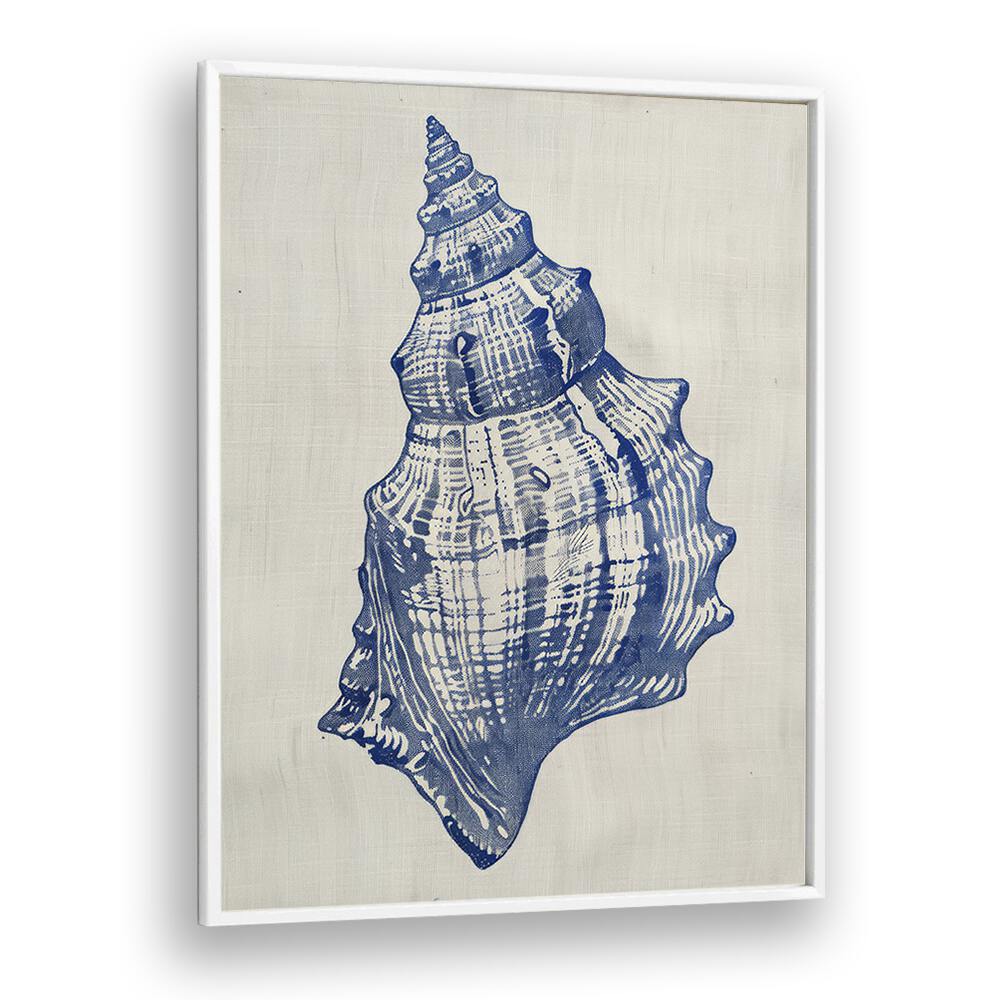 Cerulean Conch iii Beach Prints Coastal Wall Art in White Plain Frame