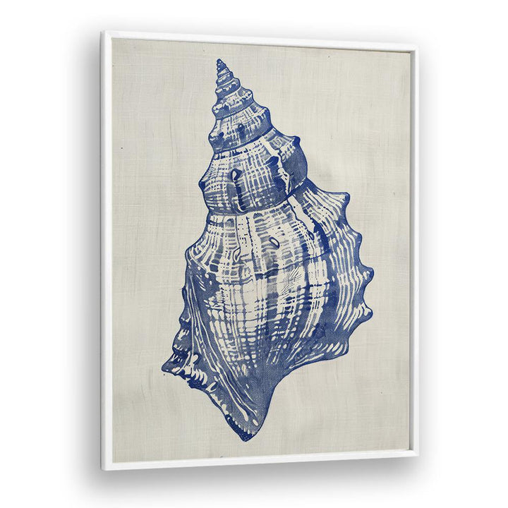 Cerulean Conch iii Beach Prints Coastal Wall Art in White Plain Frame