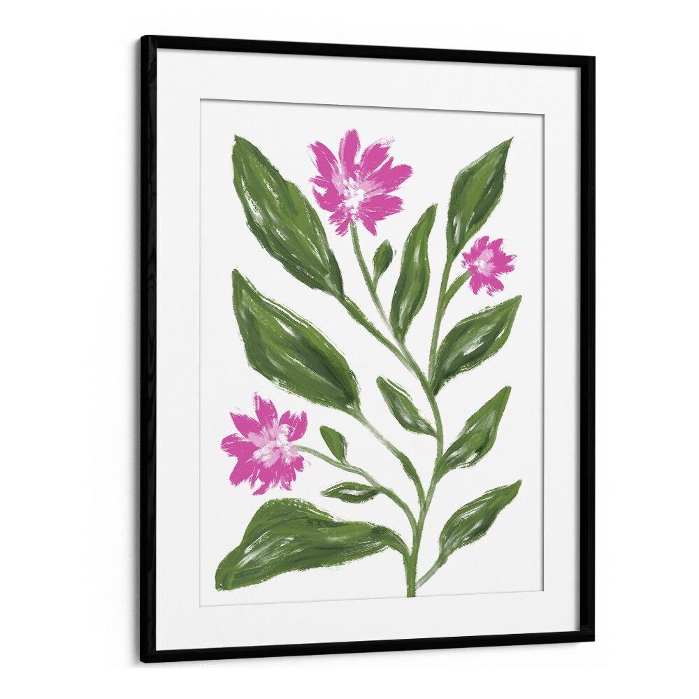 Corn Flower by Martina Botanical Art Prints in Black Frame With Mount