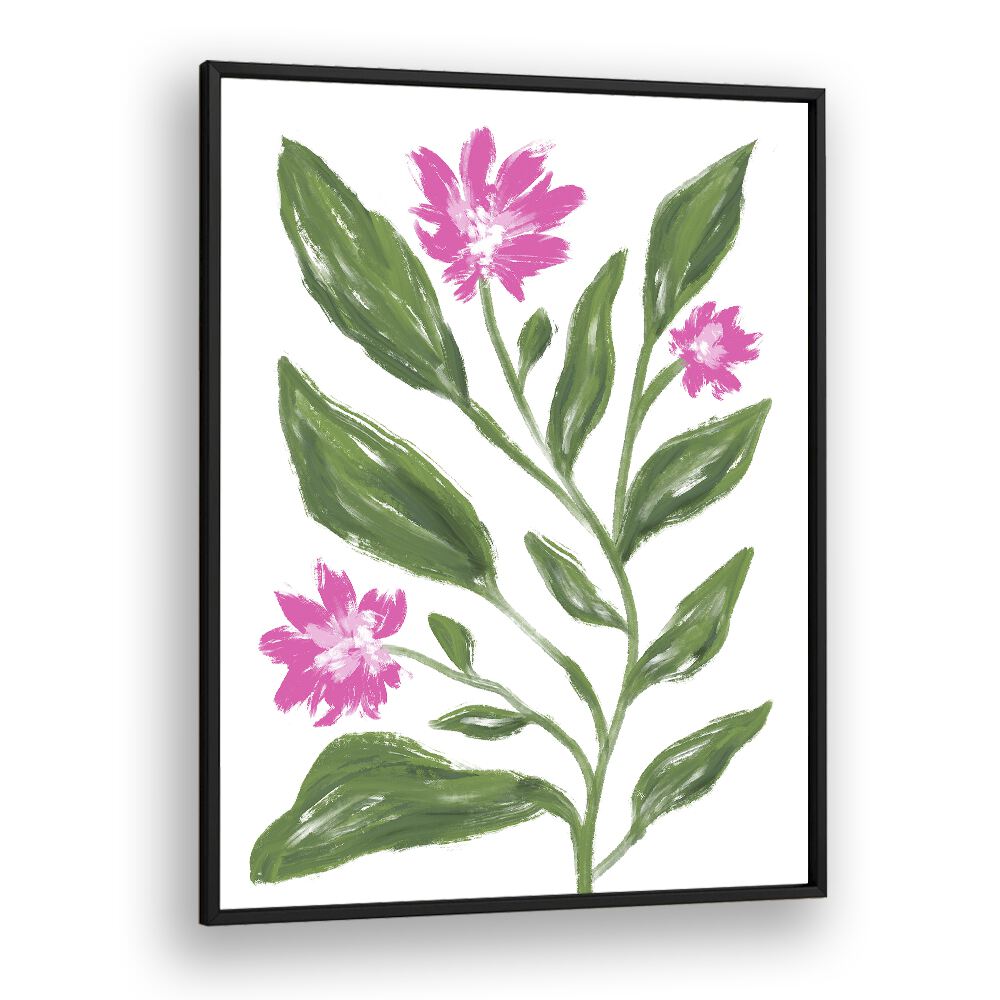 Corn Flower by Martina Botanical Art Prints in Black Plain Frame