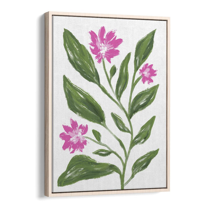 Corn Flower by Martina Botanical Art Prints in Oak Wood Floater Frame