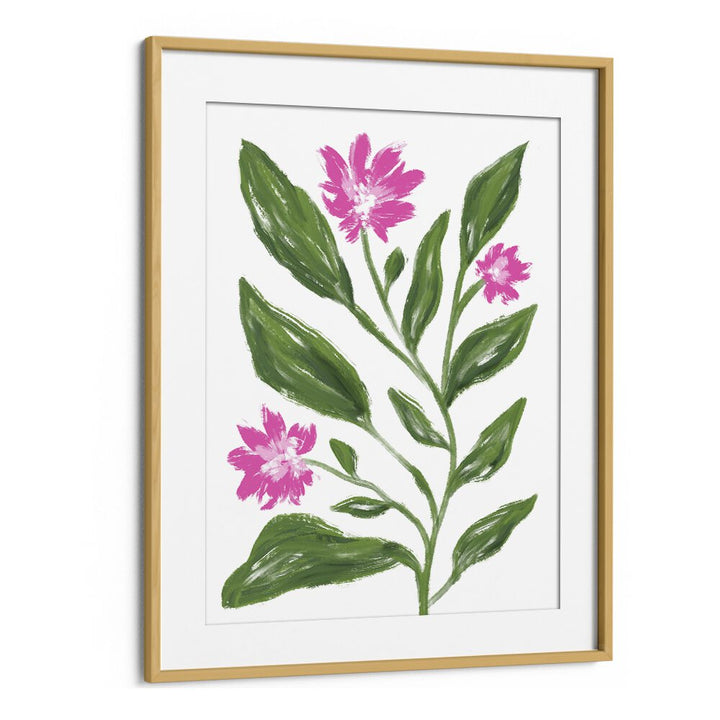 Corn Flower by Martina Botanical Art Prints in Oak Wood Frame With Mount