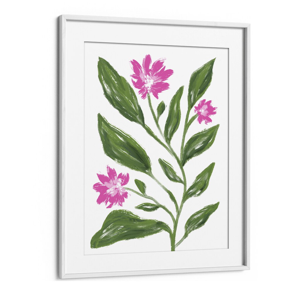 Corn Flower by Martina Botanical Art Prints in White Frame With Mount