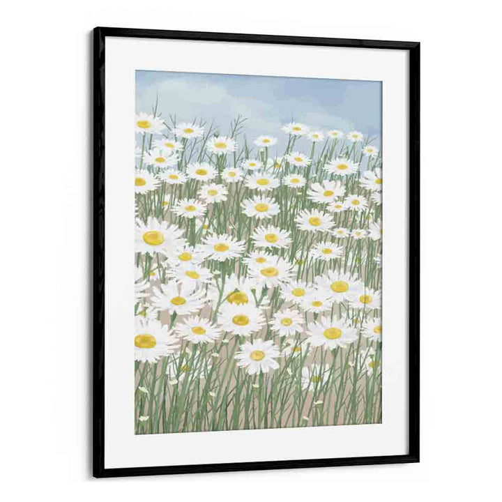 Daisies In The Sky    Botanical Flower Paintings Artwork  in Black Frame With Mount