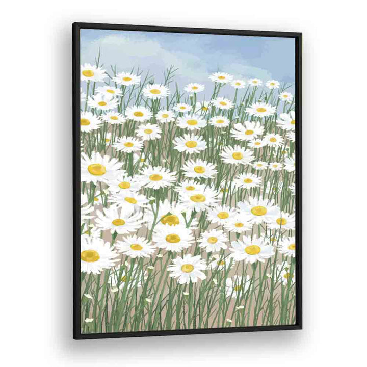 Daisies In The Sky  Botanical Flower Paintings Artwork  in Black Plain Frame