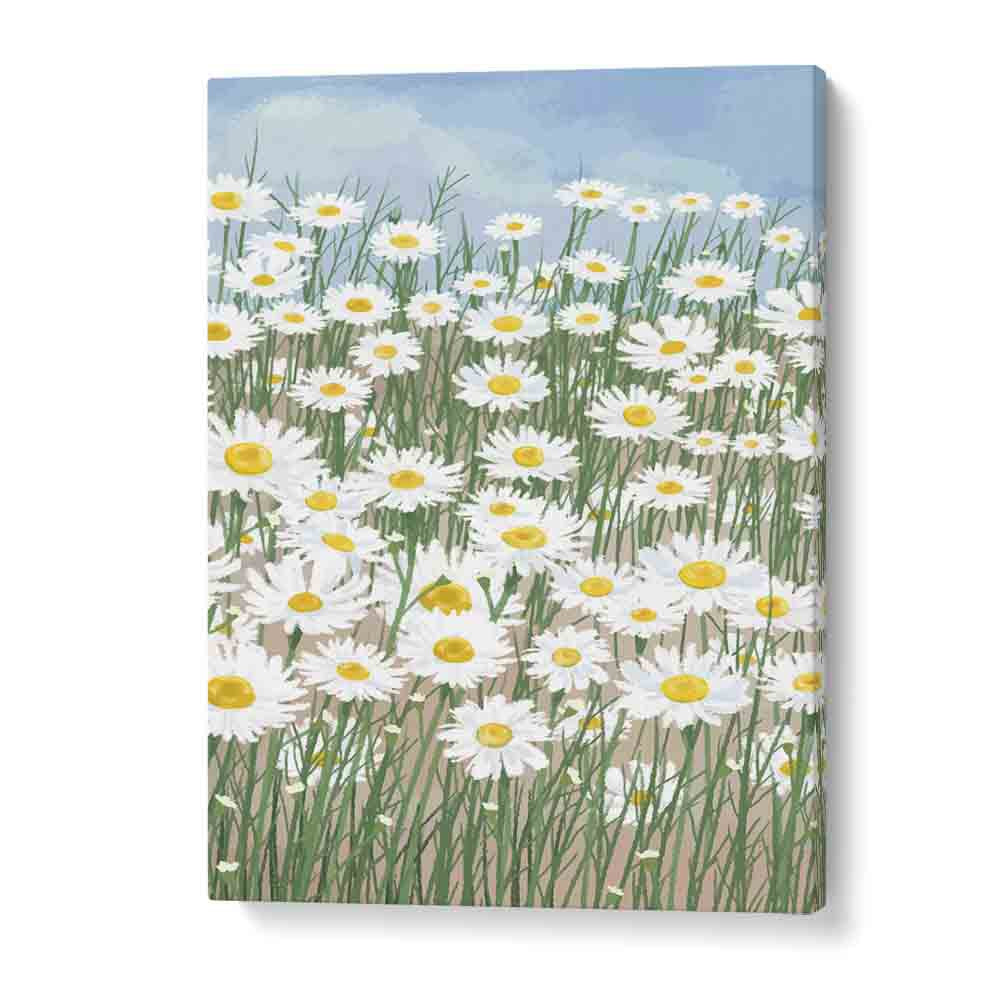 Daisies In The Sky  Botanical Flower Paintings Artwork in Gallery Wrap