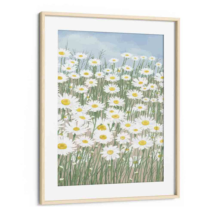 Daisies In The Sky  Botanical Flower Paintings Artwork in Oak Wood Frame With Mount