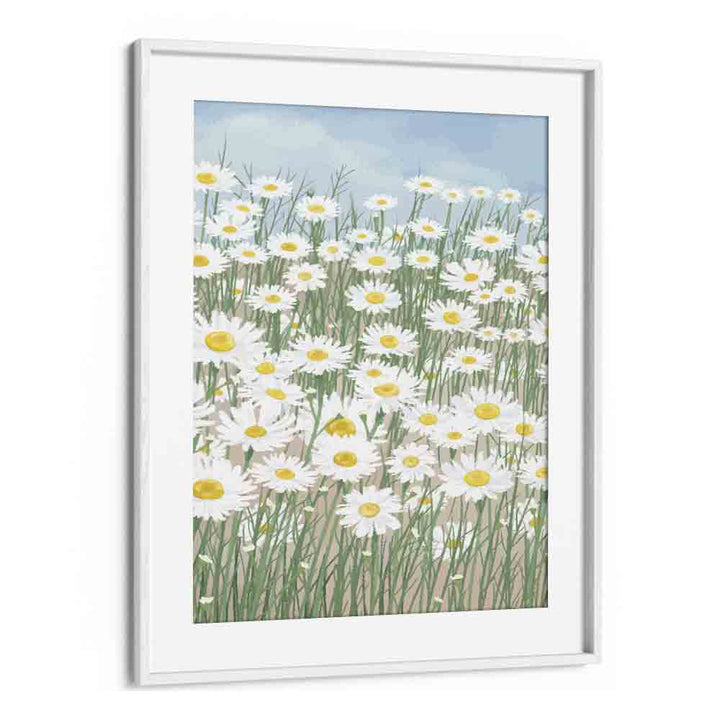 Daisies In The Sky   Botanical Flower Paintings Paintings Artwork  in White frame With Mount